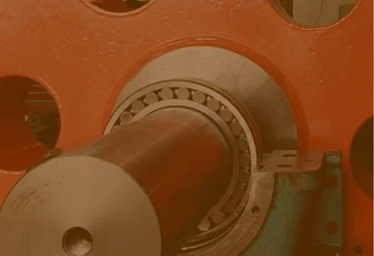 Engineering & Re-Engineering